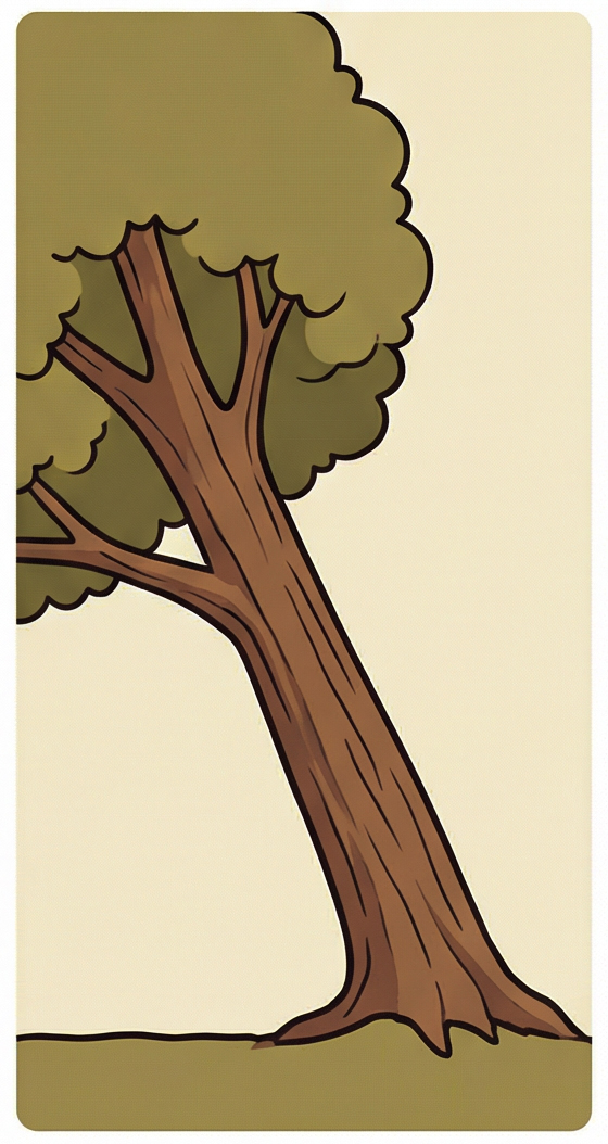 inclinazione - riconoscere albero pericolante faenza