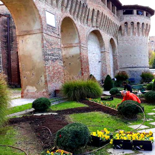dottorgreen giardinaggio a riolo terme