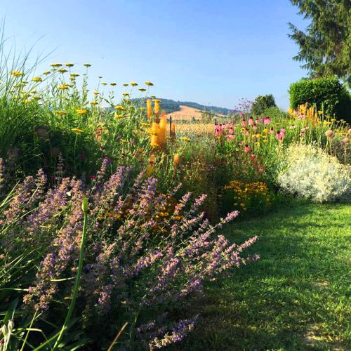 dottorgreen giardino Imola