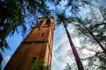 dottorgreen treeclimber Villagrappa Forli